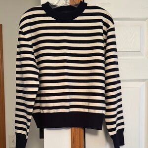 ZARA Navy and White Striped Sweater
